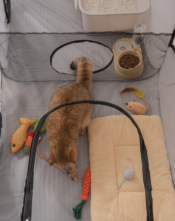 3-in-1 Foldable Pet Playpen with Tunnel
